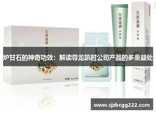 炉甘石的神奇功效：解读尊龙凯时公司产品的多重益处